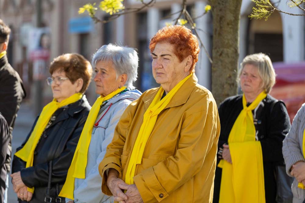 2026.04.08. 1 Html 6531594e.jpg