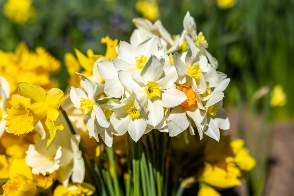 2026.04.08. 1 Html 6616e752.jpg