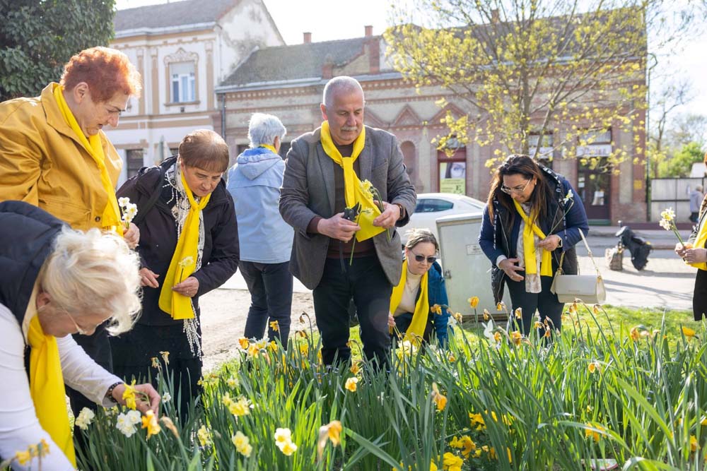 2026.04.08. 1 Html M21d49f75.jpg