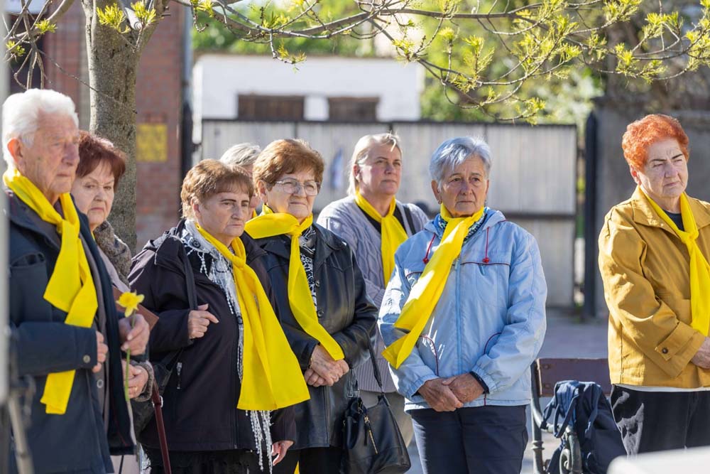 2026.04.08. 1 Html M582b6d1b.jpg